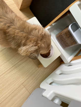 치토스님이 올린 리뷰 사진 4