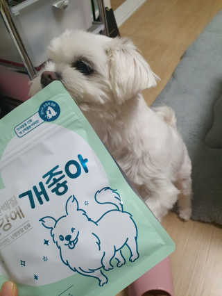 My Pet Care 천연단백질 눈건강에 개좋아 — 5점을 준 리뷰어가 2020년 11월 올린 사용 사진