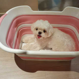 hosu.1230님이 올린 리뷰 사진 4