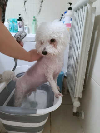 무한독주님이 올린 리뷰 사진 4