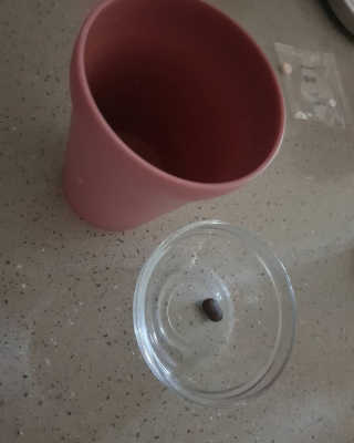 조은약초 꿀잠큐어 제주 감태추출물 감태정 600mg — 5점을 준 리뷰어가 2020년 8월 올린 사용 사진