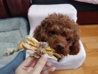 연이님이 올린 리뷰 사진 3
