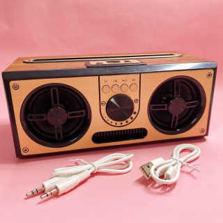 SEVIZ RETRO20W 레트로 블루투스 스피커 — 5점을 준 리뷰어가 2020년 7월 올린 사용 사진