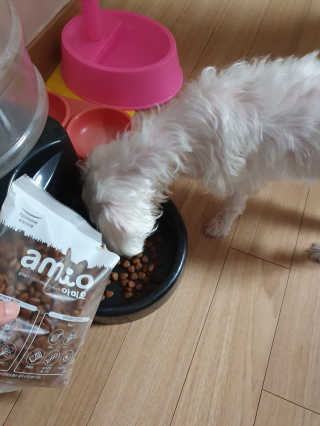 마이쭈님이 올린 리뷰 사진 3