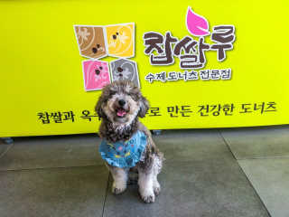 바니님이 올린 리뷰 사진 4