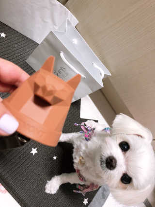 뚜덩맘님이 올린 리뷰 사진 1