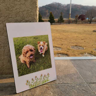 100가지 기념액자 — 4점을 준 리뷰어가 2020년 11월 올린 사용 사진