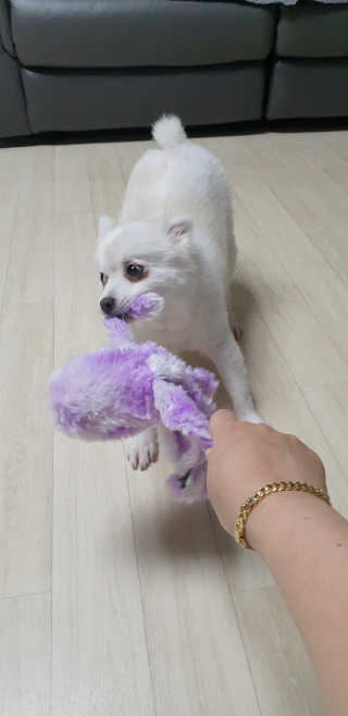 지혴님이 올린 리뷰 사진 4