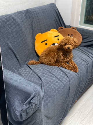칸쵸님이 올린 리뷰 사진 3