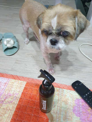 보리엄마님이 올린 리뷰 사진 2