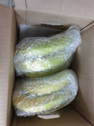 [스미후루] 감숙왕 바나나 2팩 2.6kg 이벤트 — 5점을 준 리뷰어가 2020년 10월 올린 사용 사진