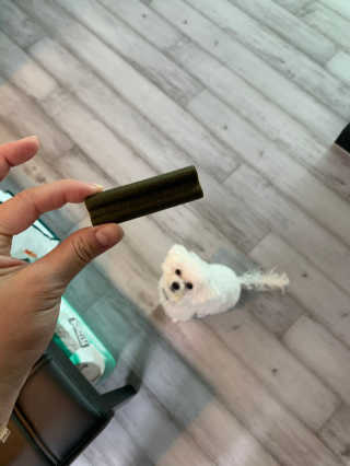 [푸디웜] 라포그 코어덴탈츄 그린 (10개입) — 5점을 준 리뷰어가 2020년 8월 올린 사용 사진