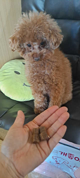 My Pet Care 천연단백질 관절건강에 개좋아 — 5점을 준 리뷰어가 2020년 12월 올린 사용 사진