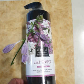 르퀼라야 스칼프 샴푸 810ml [가드니아/포레스트] — 5점을 준 리뷰어가 2020년 7월 올린 사용 사진