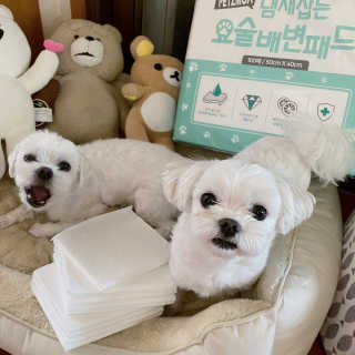 Kongeunji님이 올린 리뷰 사진 4