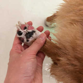 룰루랄라님이 올린 리뷰 사진 3