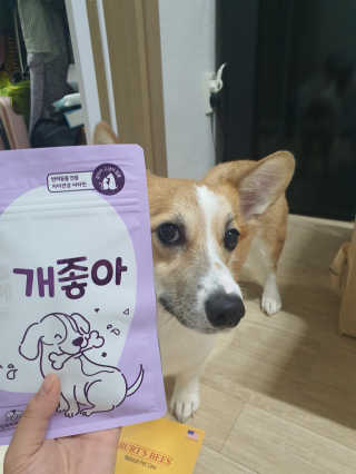 My Pet Care 천연단백질 치아건강에 개좋아 — 5점을 준 리뷰어가 2020년 11월 올린 사용 사진