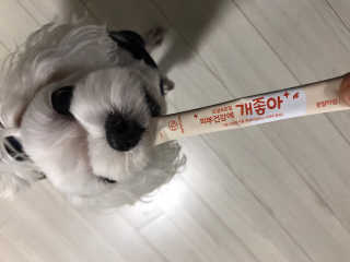 My Pet Care 모발과 모질 피부건강에 개좋아 — 5점을 준 리뷰어가 2020년 11월 올린 사용 사진