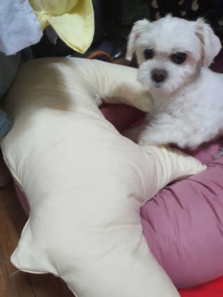 뽀오오옹님이 올린 리뷰 사진 1