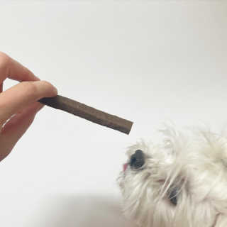 My Pet Care 천연단백질 치아건강에 개좋아 — 5점을 준 리뷰어가 2020년 12월 올린 사용 사진