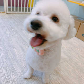 이이이잉ㅇ님이 올린 리뷰 사진 1