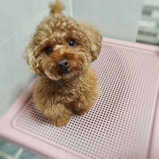 사랑해안시영님이 올린 리뷰 사진 1