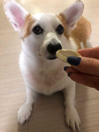 JeongKayla님이 올린 리뷰 사진 3
