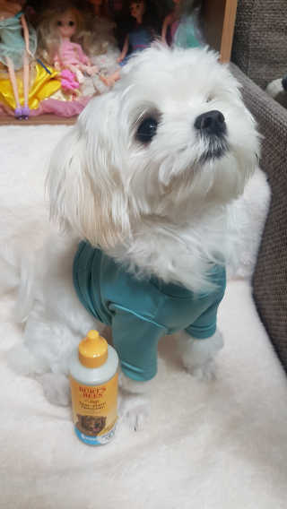 오늘하루님이 올린 리뷰 사진 1