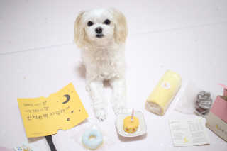 youngran님이 올린 리뷰 사진 1