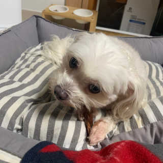 김주은님이 올린 리뷰 사진 3