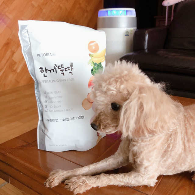 [펫토리아] 한끼뚝딱 프리미엄 강아지/고양이 리뷰 사진