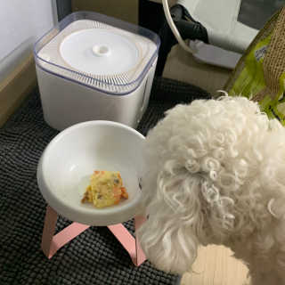 쪄니호잇님이 올린 리뷰 사진 3