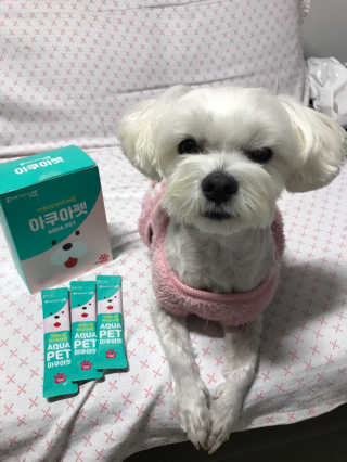 펫시랩 반려견용 액상 프리바이오틱스 아쿠아펫 — 5점을 준 리뷰어가 2020년 11월 올린 사용 사진