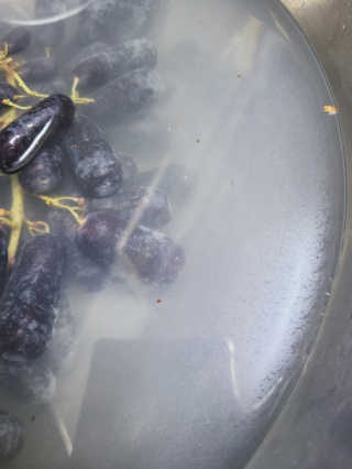 SunheeKim님이 올린 리뷰 사진 2