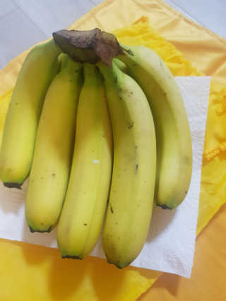 [스미후루] 감숙왕 바나나 1팩 1.3kg + 담요 + 스티커 — 5점을 준 리뷰어가 2020년 10월 올린 사용 사진