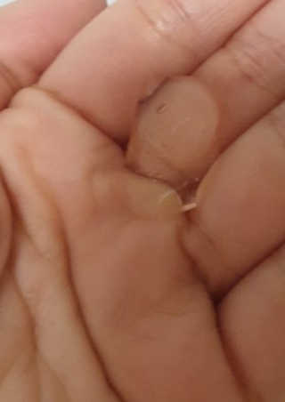 윤지숙님이 올린 리뷰 사진 3