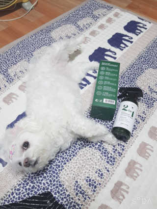 두부님이 올린 리뷰 사진 3
