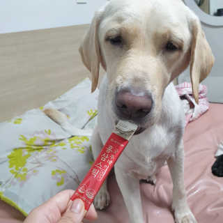 서울약사신협_굿투데이홍삼스틱_10ml x 100포 — 4점을 준 리뷰어가 2020년 7월 올린 사용 사진