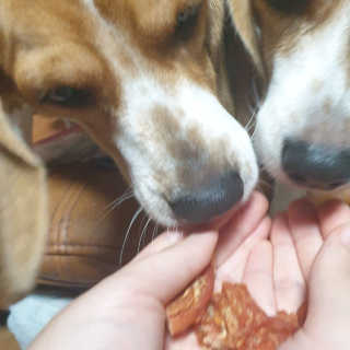 beaglelove님이 올린 리뷰 사진 3