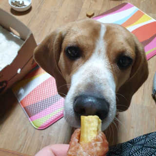 beaglelove님이 올린 리뷰 사진 3