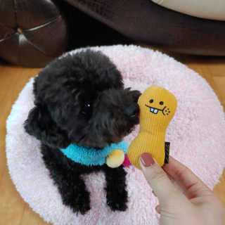 apple님이 올린 리뷰 사진 2