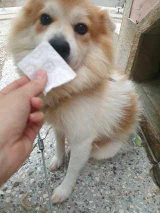 흐큑흐큑님이 올린 리뷰 사진 1