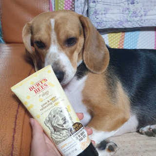 beaglelove님이 올린 리뷰 사진 1