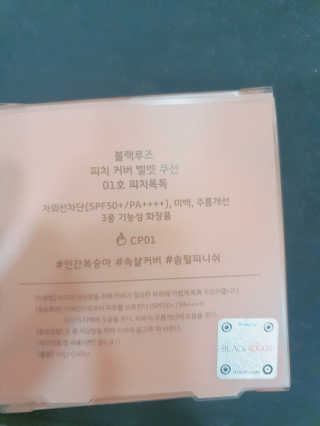 [블랙루즈] 피치 커버 벨벳 쿠션 2종 중 택1 — 5점을 준 리뷰어가 2020년 12월 올린 사용 사진
