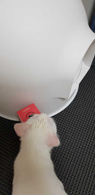 대박이님이 올린 리뷰 사진 3