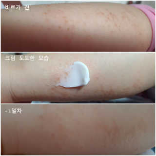 행복트리님이 올린 리뷰 사진 1