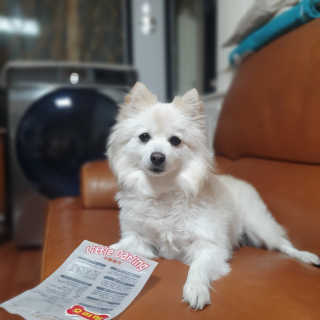 이졔님이 올린 리뷰 사진 3