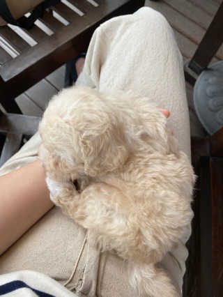 minjiriri님이 올린 리뷰 사진 3