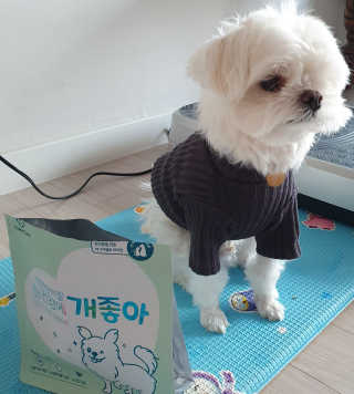 My Pet Care 천연단백질 눈건강에 개좋아 — 5점을 준 리뷰어가 2020년 11월 올린 사용 사진