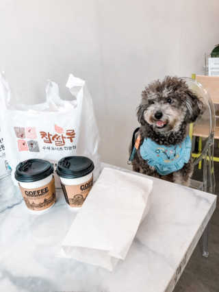 바니님이 올린 리뷰 사진 3